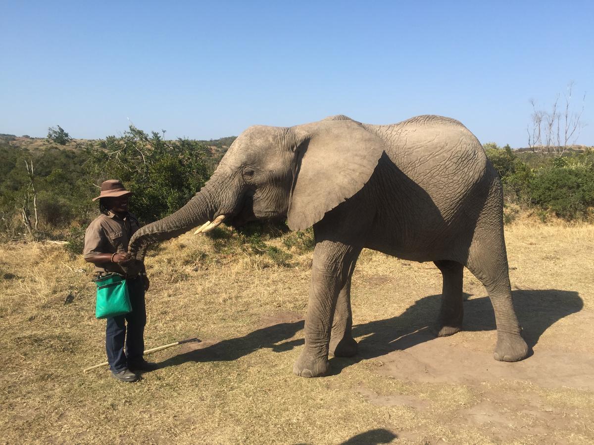 African Crags Eco-Lodge The Crags Bagian luar foto